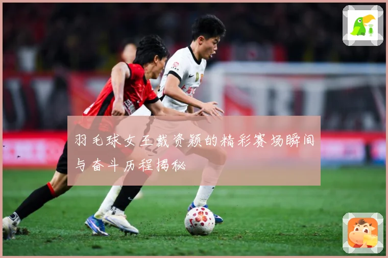 羽毛球女王戴资颖的精彩赛场瞬间与奋斗历程揭秘
