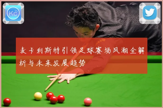麦卡利斯特引领足球赛场风潮全解析与未来发展趋势