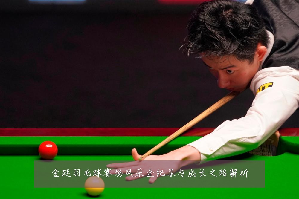 金廷羽毛球赛场风采全纪录与成长之路解析